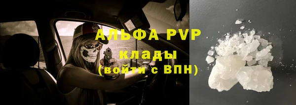 стаф Надым