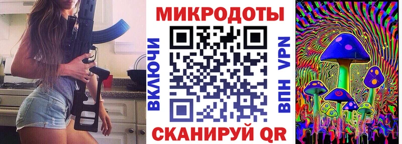 Купить где  Берёзовка  Псилоцибиновые грибы мицелий 